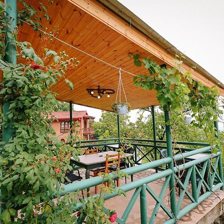 Guest House Evdoshvili St N5 Sighnaghi Eksteriør billede