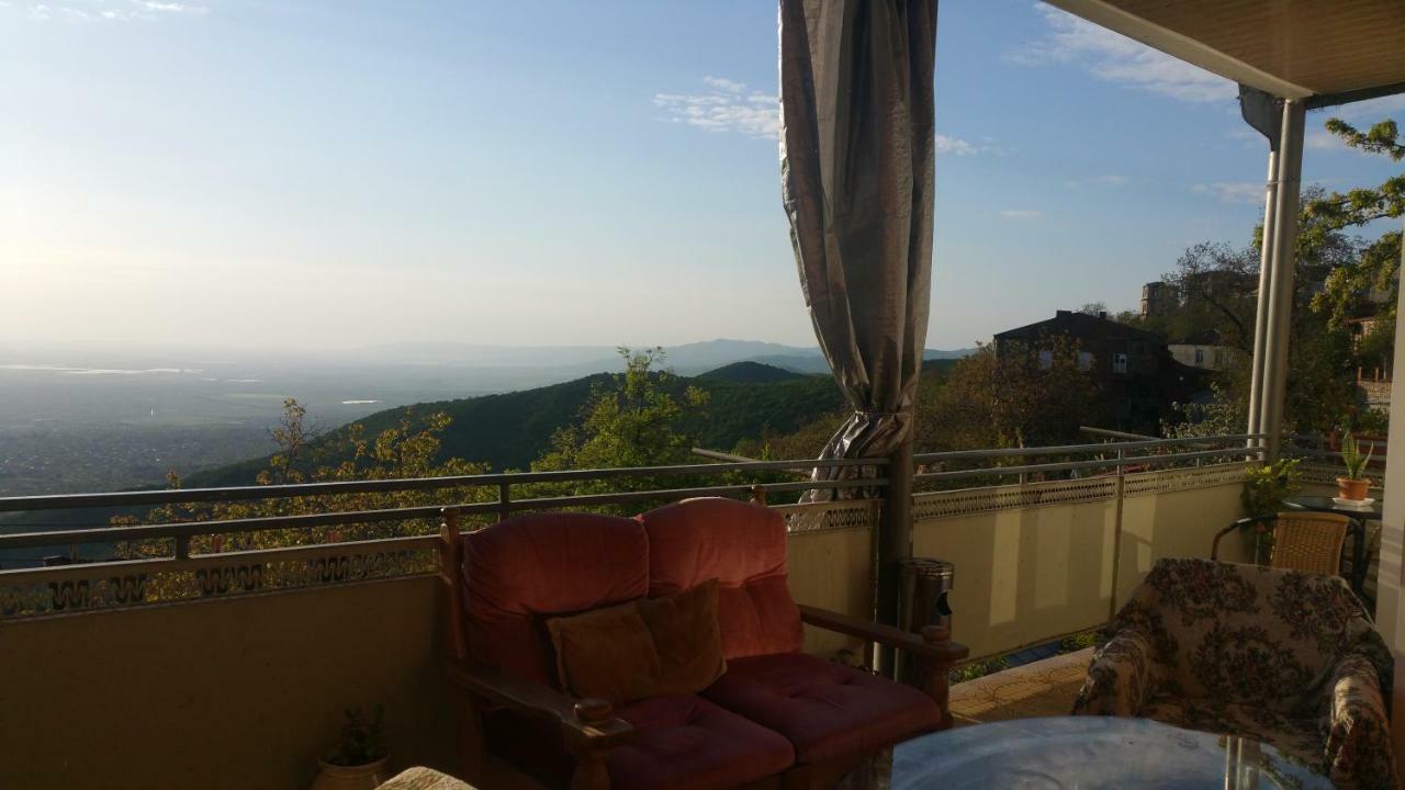 Guest House Evdoshvili St N5 Sighnaghi Eksteriør billede